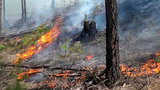 На Дальнем Востоке растет площадь природных пожаров