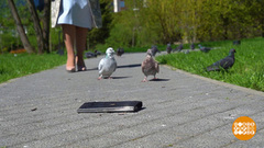 Что упало — то пропало? Доброе утро. Фрагмент