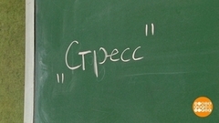 Стресс – полезен? Доброе утро. Фрагмент