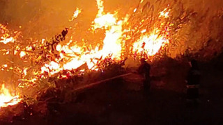 В России действуют более полусотни очагов природных пожаров