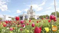 Выставка-форум «Россия»: целое море цветов! Доброе утро. Фрагмент