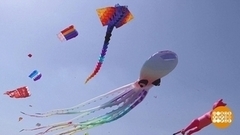 Фестиваль воздушных змеев. Доброе утро. Фрагмент