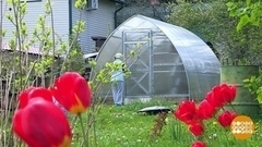 Идеальная теплица – какая она? Доброе утро. Фрагмент