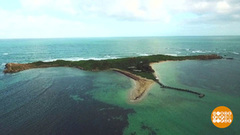 Пингвиний остров. Доброе утро. Фрагмент