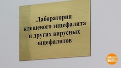 Клещи расплодились… А почему? Доброе утро. Фрагмент