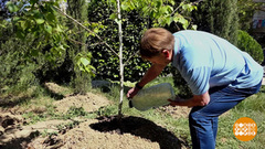 Приведи в порядок свою планету! Доброе утро. Фрагмент