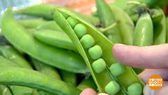 Зеленый горошек: свежий, сладкий, полезный! Доброе утро. Фрагмент