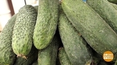 Огурцы? Молодцы! Доброе утро. Фрагмент