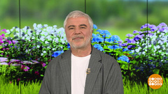 Поздравляем Сосо Павлиашвили. Доброе утро. Фрагмент