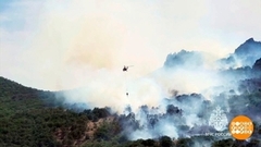 Лесные пожары: вместе победим! Доброе утро. Фрагмент