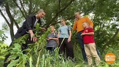 Папа вам не мама: «съедобное — несъедобное». Доброе утро. Суббота. Фрагмент