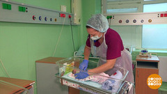 Работа мечты: какая она? Доброе утро. Фрагмент