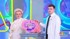 Глупые вопросы психиатру. Жить здорово! Фрагмент