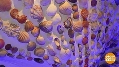 Ракушка, кто в тебе живет? Море... Доброе утро. Фрагмент