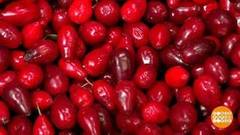 Кизил — это не кисло! Доброе утро. Фрагмент