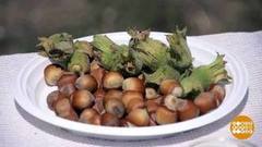 Ореховый Спас. Доброе утро. Фрагмент