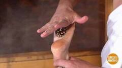 Берем шишки — и в баню! Доброе утро. Фрагмент