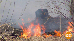 Осторожно! Лесной пожар! Доброе утро. Суббота. Фрагмент