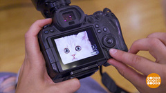 Кошка, улыбнись! Тебя снимают! Доброе утро. Фрагмент
