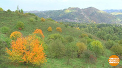 Красавица Осень… Доброе утро. Фрагмент