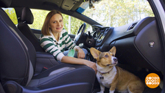 Поедем, собачка, кататься! Доброе утро. Фрагмент