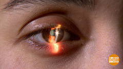 Я вижу мир! Доброе утро. Фрагмент