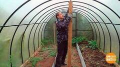 Консервируем... дачу. На зиму. Доброе утро. Фрагмент