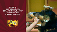 Дог-шоу «Я и моя собака». Метис Байкал, овчарка Ирга, бассет Шон и метис спаниеля Жуль. 2002 год