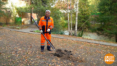 Копаем траншею: дело — в трубе! Доброе утро. Фрагмент