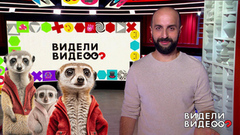 Ос его знает: сурикаты. Видели видео? Фрагмент