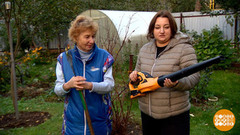 Грабли против воздуходувки. Доброе утро. Суббота. Фрагмент