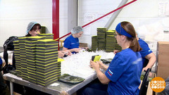 Трудовой договор: о чем договариваемся? Доброе утро. Фрагмент