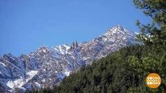 Заповедники Северного Кавказа. Доброе утро. Фрагмент