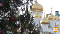 Елочка или пихточка? Главное, чтобы радовала! Доброе утро. Фрагмент