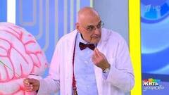 Общение против деменции. Жить здорово! Фрагмент