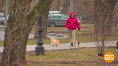 Ура! До весны — всего месяц! Доброе утро. Суббота. Фрагмент