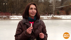 Выбираем гигиеническую помаду. Доброе утро. Фрагмент