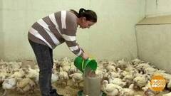 Открыть свое дело: поможет социальный контракт! Доброе утро. Фрагмент