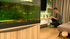 Выбираем усилитель для интернета. Доброе утро. Фрагмент