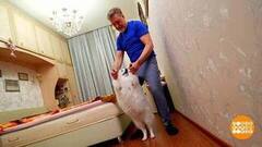 Утро добрым бывает! Доброе утро. Фрагмент