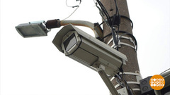 Вот это номер! И камера его видит… Доброе утро. Фрагмент