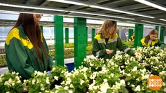 Города ждут весну! И готовятся… Доброе утро. Фрагмент