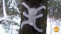 Кто сказал, что зайцы по деревьям не лазают? Доброе утро. Фрагмент