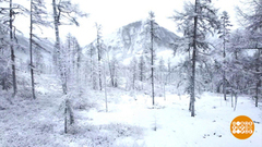 Зима, ты нас удивила... Доброе утро. Фрагмент