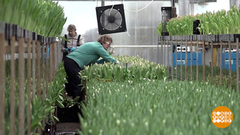 Весна. Сезонные работы стартовали… Доброе утро. Фрагмент