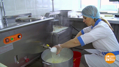 Тофу: сыр от «соевой коровы». Доброе утро. Фрагмент