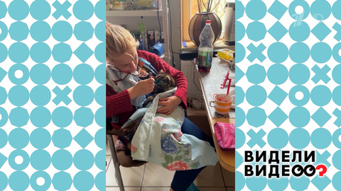 Енот по имени Чудо. Видели видео? Фрагмент