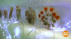 Царство вечной мерзлоты? Царство вечной красоты! Доброе утро. Фрагмент