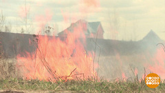 Костер? Пожар! Доброе утро. Фрагмент