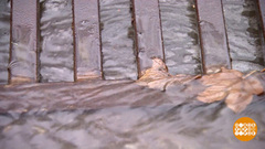 Ливневки, к сезону дождей готовы? Доброе утро. Фрагмент